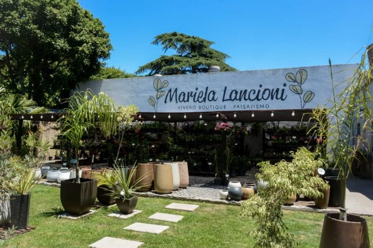 FB IMG 1729346868504 768x512