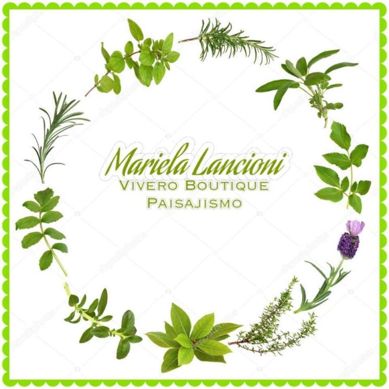 FB IMG 1729346870953 768x768