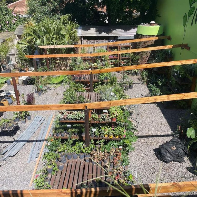 FB IMG 1729346886779 768x768