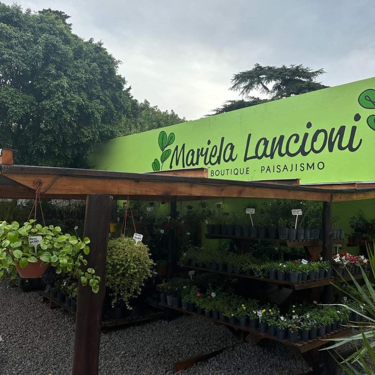 FB IMG 1729346891292 768x768