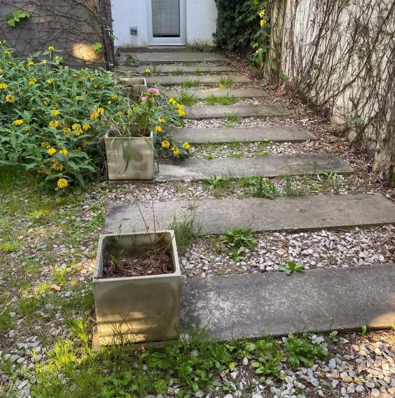 FB IMG 1729346907566 768x774