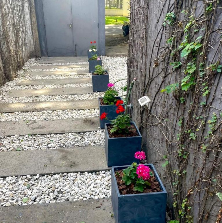 FB IMG 1729346909826 768x774