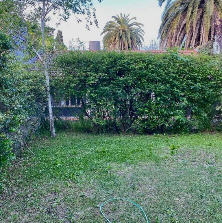 FB IMG 1729346917866 768x774