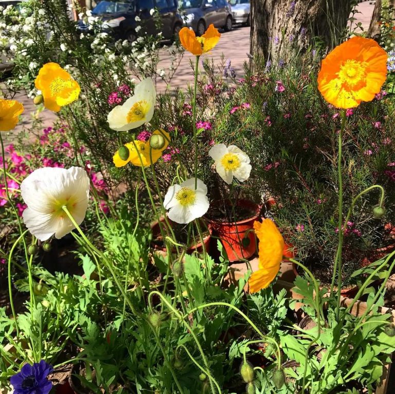 FB IMG 1729347932523 768x766