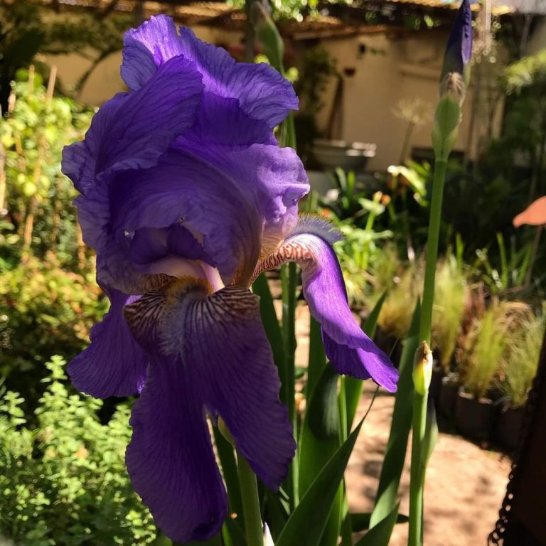 FB IMG 1729347934671 768x768