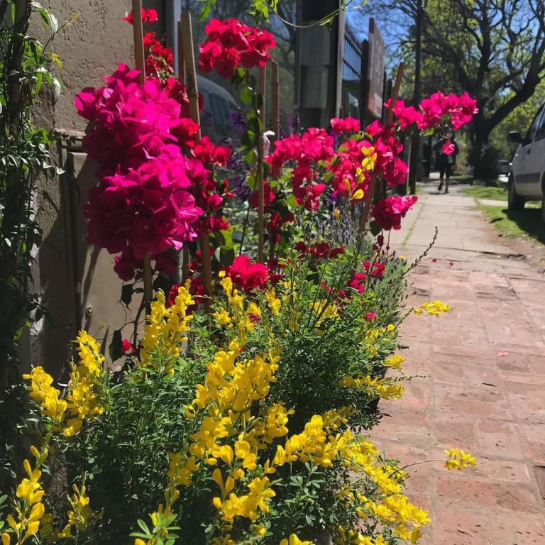 FB IMG 1729347936745 768x768