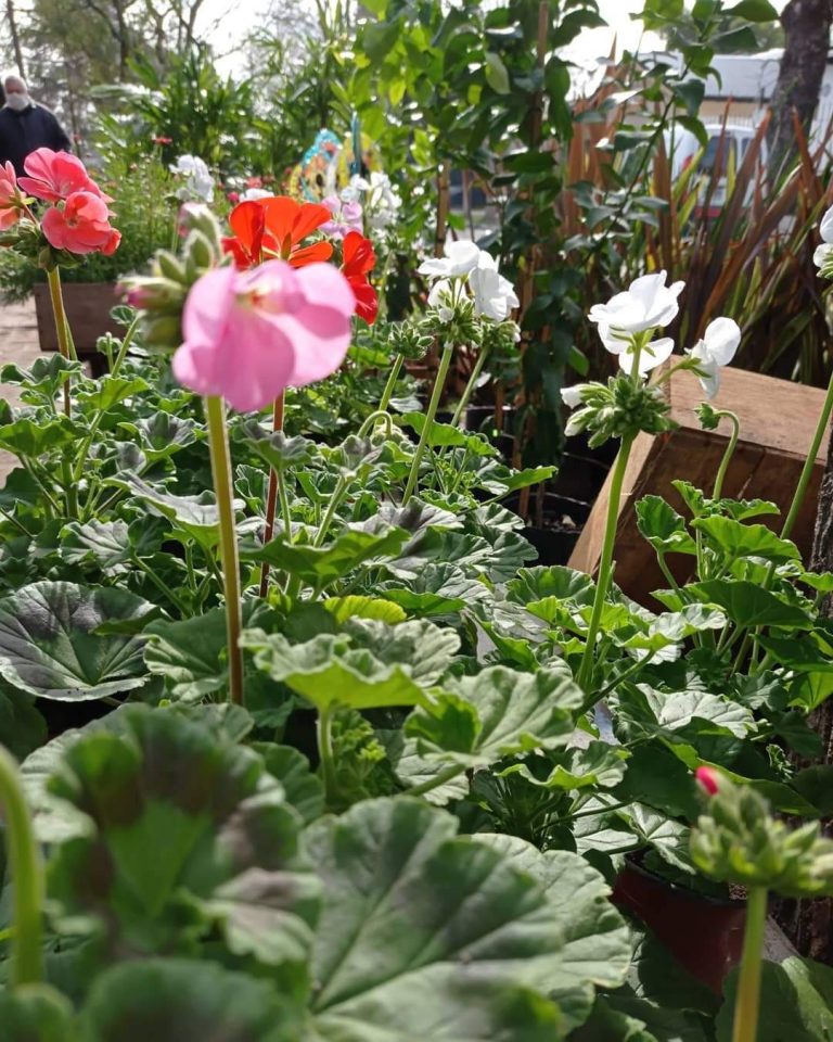 FB IMG 1729347949350 768x960