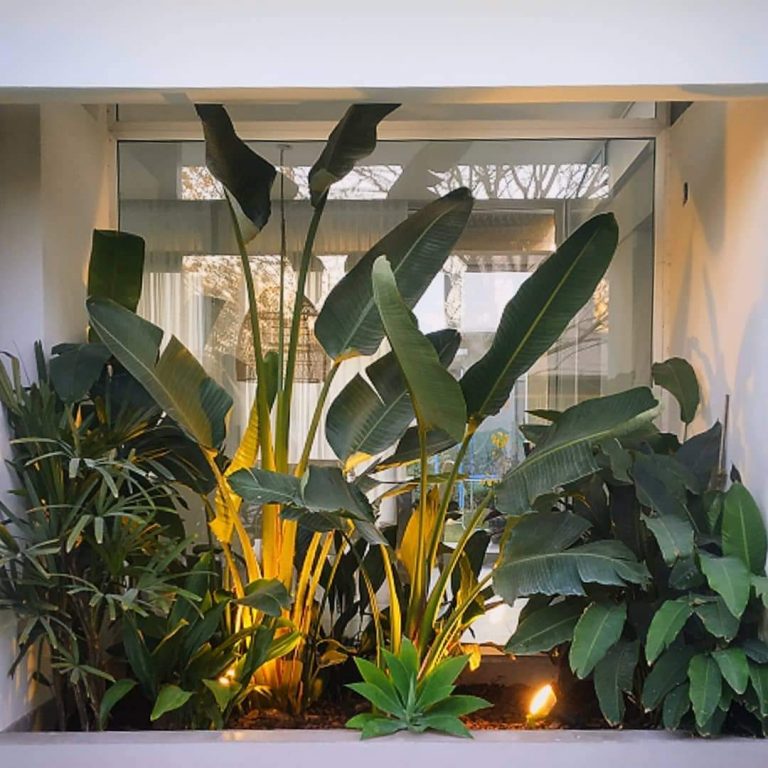 FB IMG 1729347971048 768x768