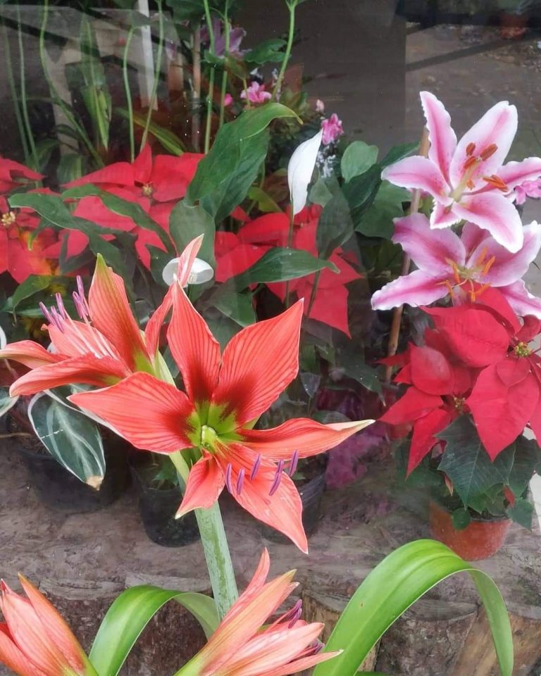 FB IMG 1729347980728 768x960