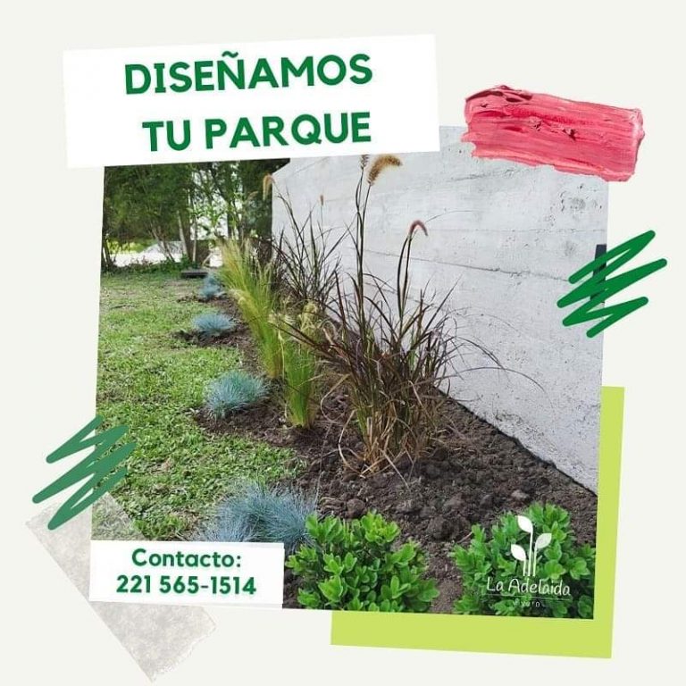 FB IMG 1729347987776 768x768