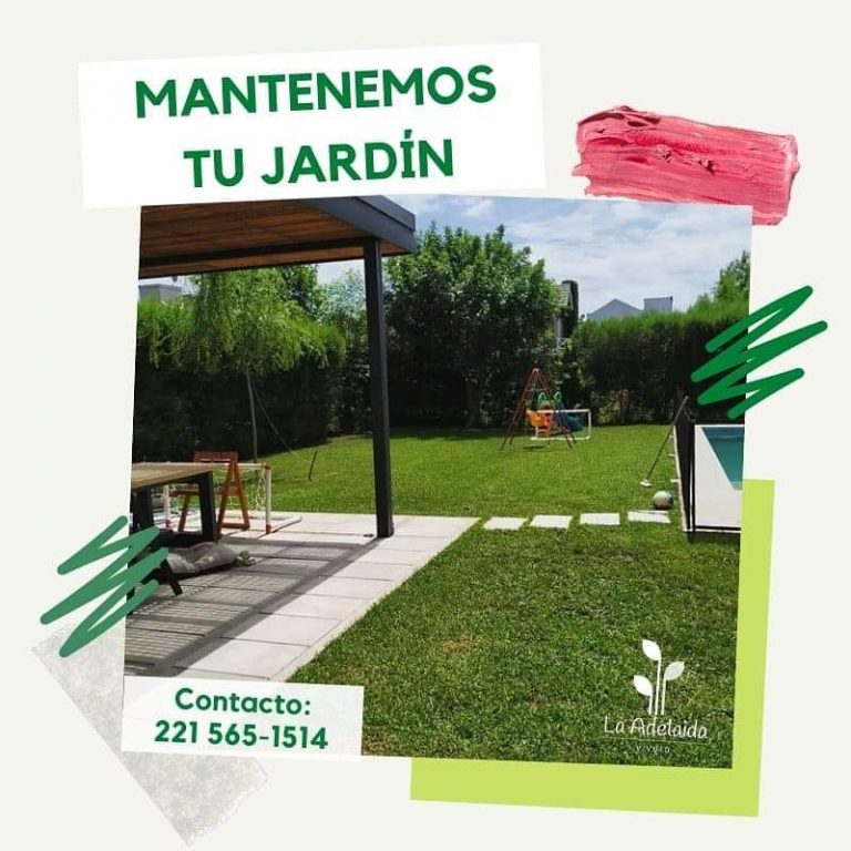 FB IMG 1729347993968 768x768