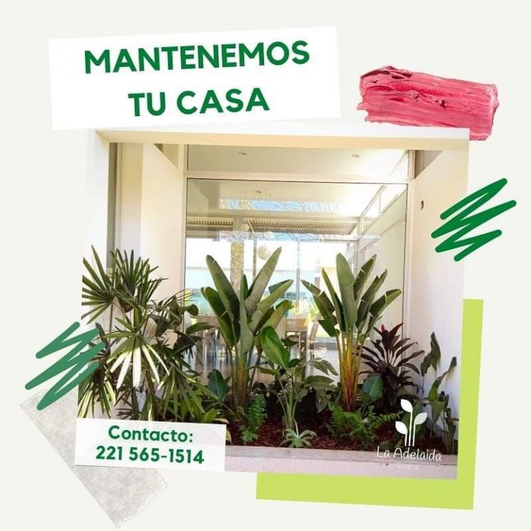 FB IMG 1729347996599 768x768