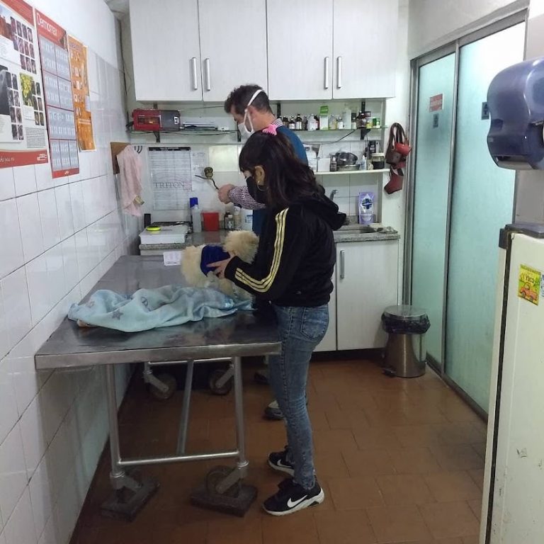 IMG 20200729 174017 932 768x768