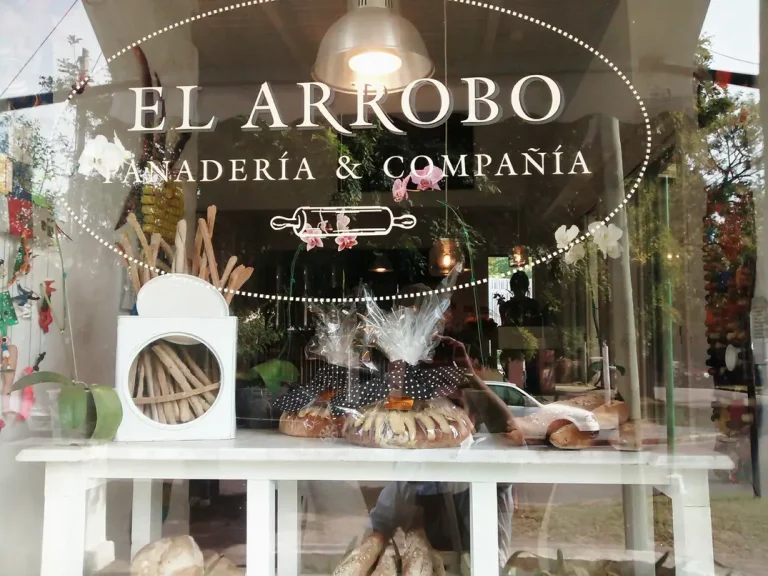 img 3 1729434238376 768x576