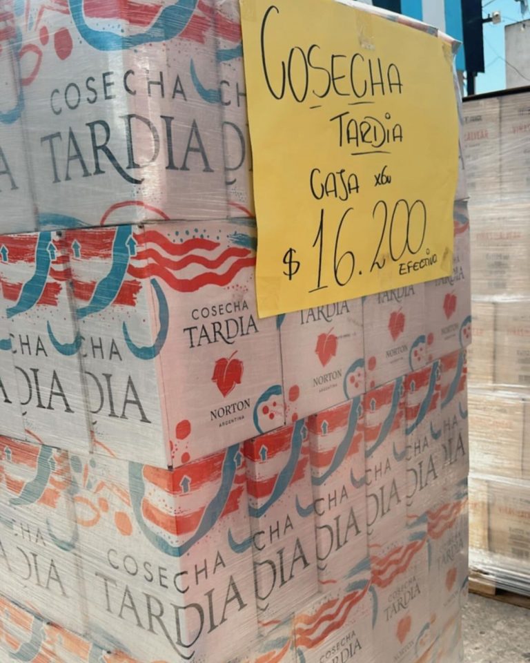 463802315 18024832748404185 834497973059729526 n 768x960