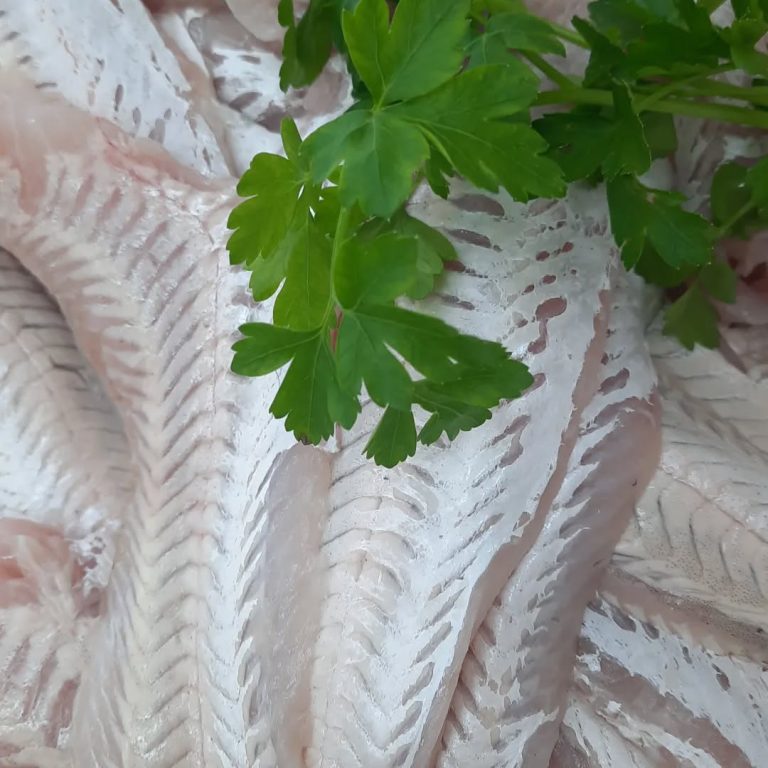 378084016 202926412644367 1104580328135091995 n.webp 768x768