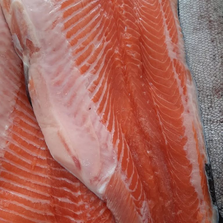 378533232 1508973013210270 997705011379191126 n.webp 768x768