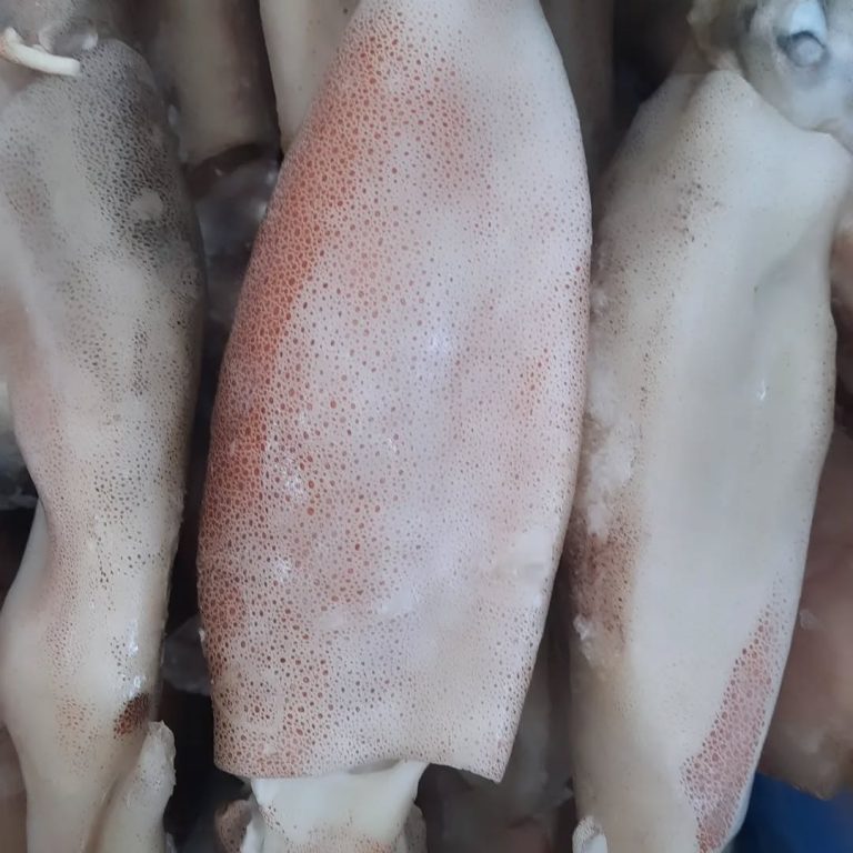 378988918 835907618202067 6092099742456481951 n.webp 768x768