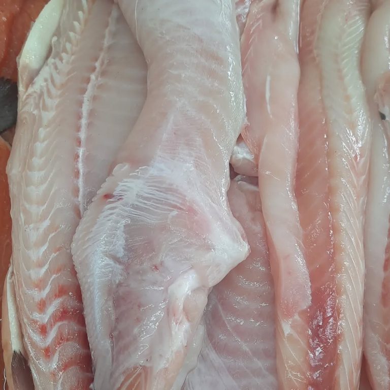 408453533 737479791062428 3199938812790743829 n.webp 768x768