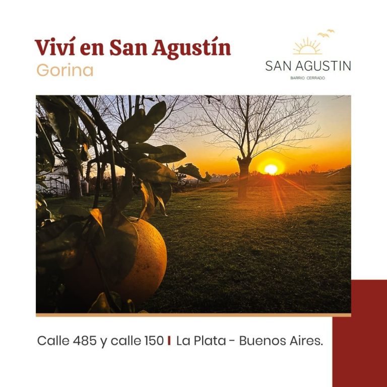 408971101 963277872475476 2921158752310648504 n 768x768