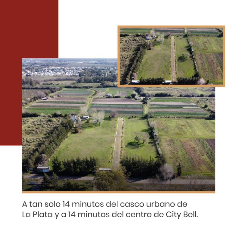 409083605 963277882475475 5428057204382624326 n 768x768