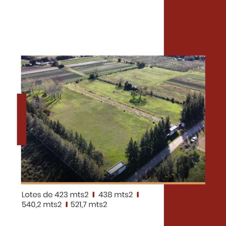 409154305 963277862475477 8450455713416147489 n 768x768