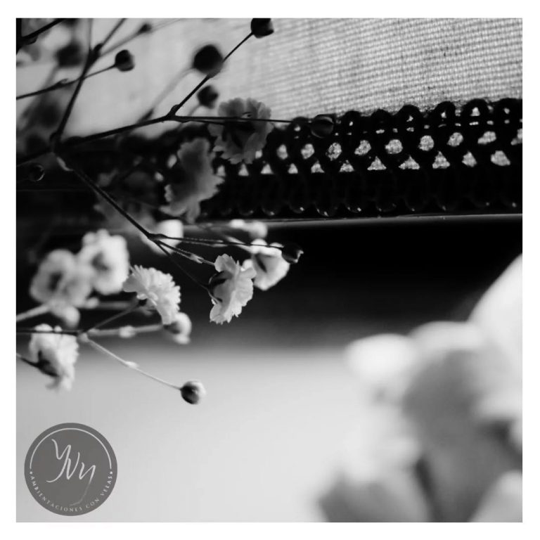 464199772 414976268315284 7971613528641861826 n.webp 768x768