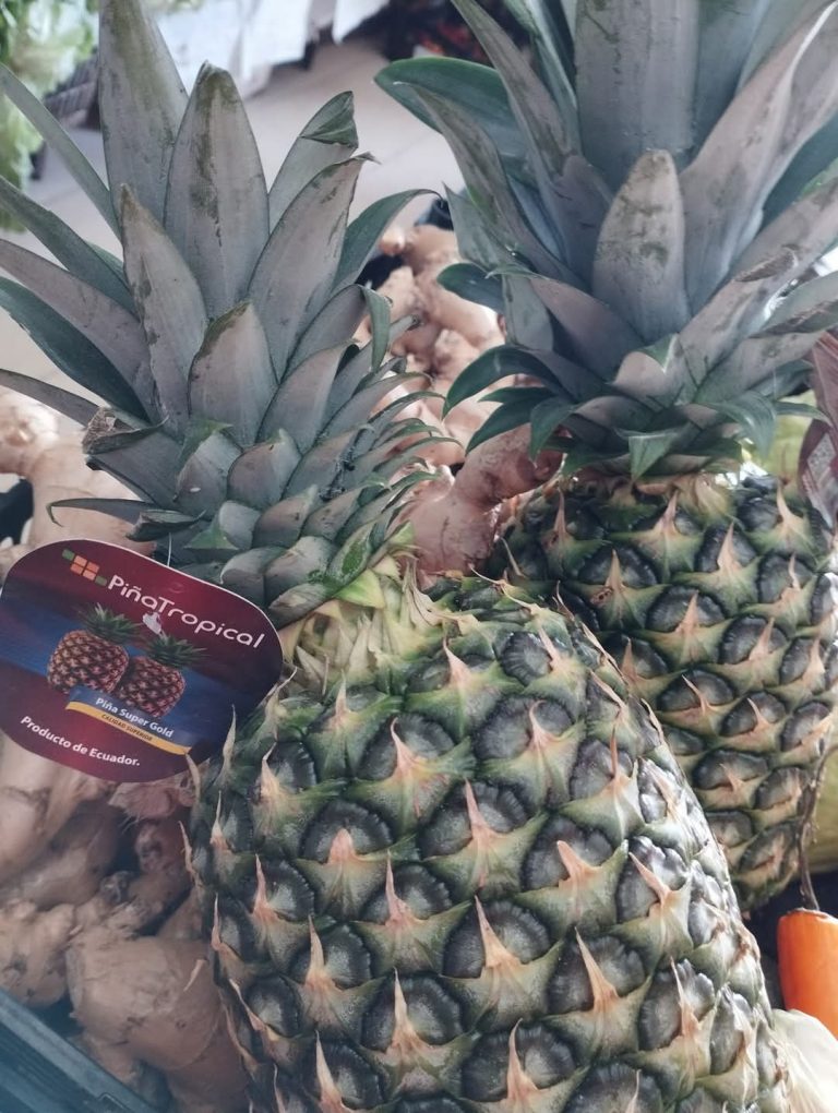 FB IMG 1736461730862 768x1020