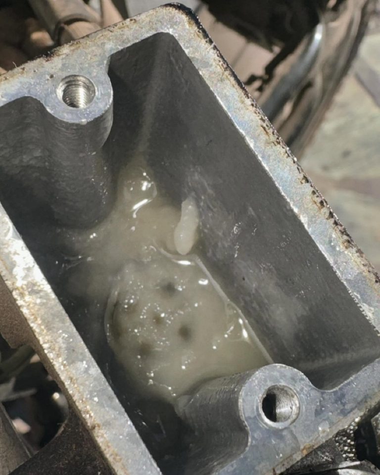 449386295 510014394789921 3613166653814177659 n 768x960