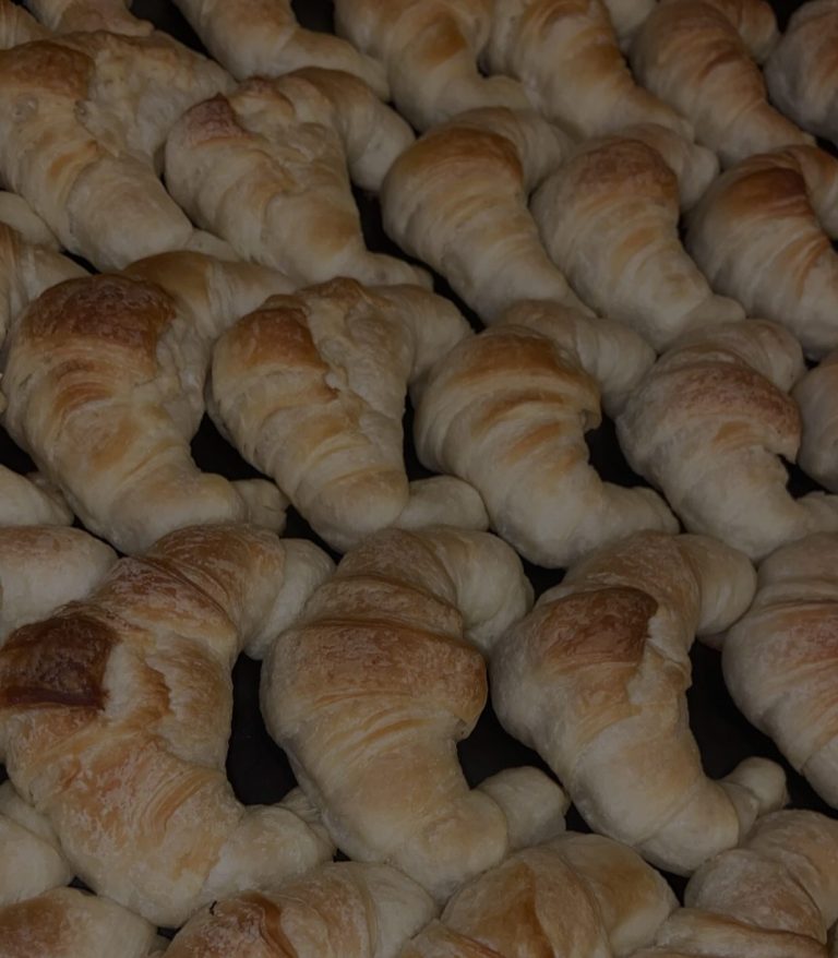 454103745 1916095328834639 5367785566487921712 n 768x878