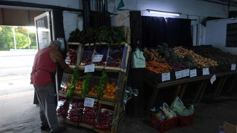 IMG 20250407 WA0063 768x432