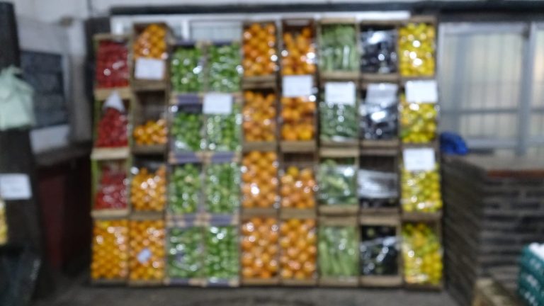 IMG 20250407 WA0064 768x432