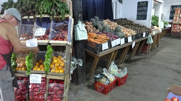 IMG 20250407 WA0069 768x432