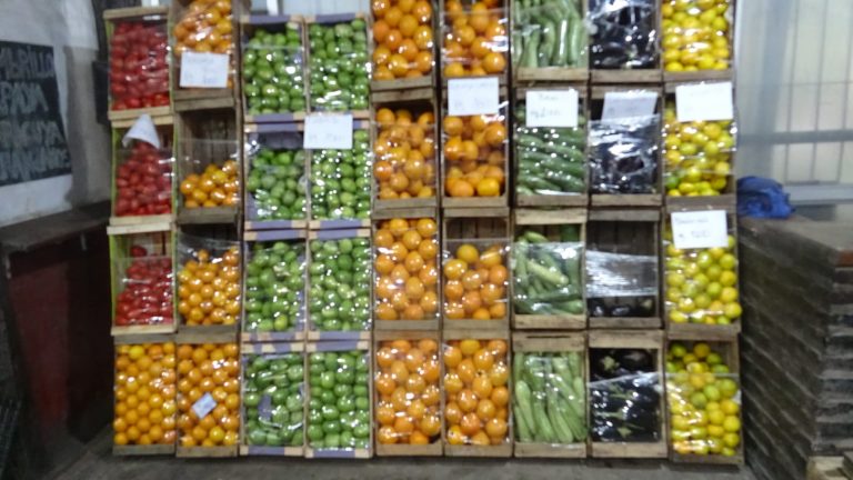 IMG 20250407 WA0071 768x432