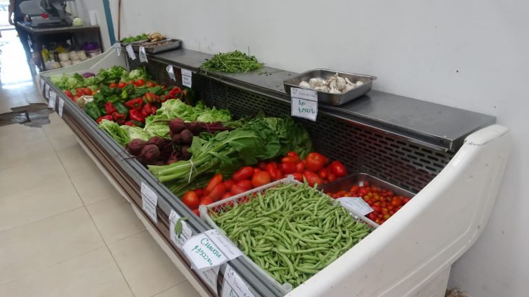 IMG 20250409 WA0060 768x432