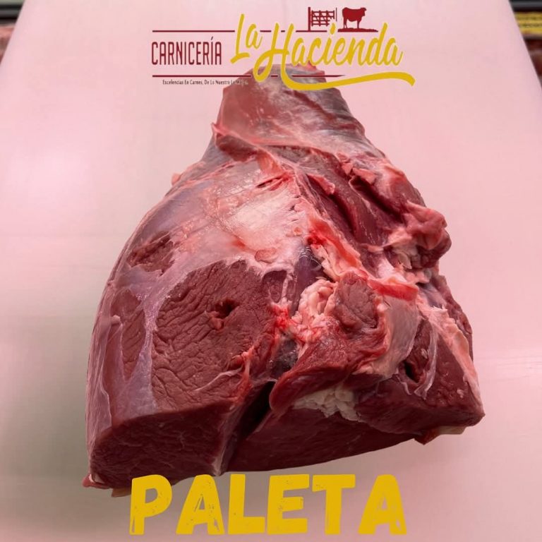 FB IMG 1746988309042 1 768x768