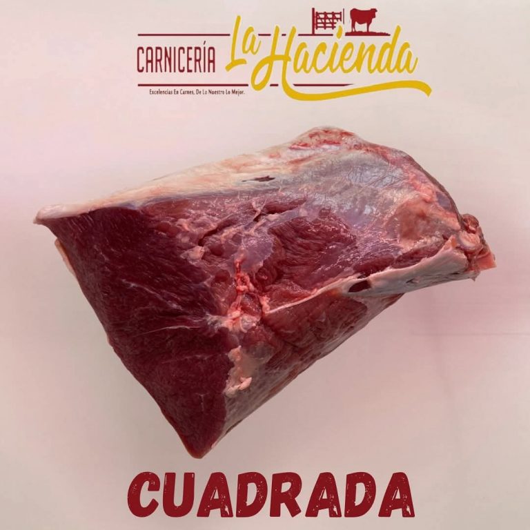 FB IMG 1746988311124 1 768x768