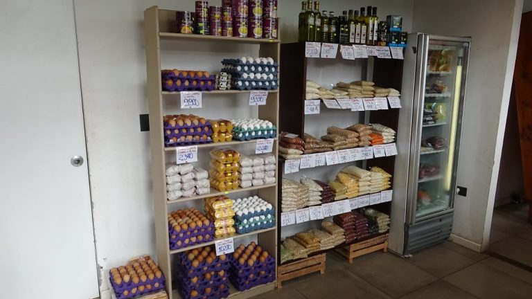 IMG 20250508 WA0032 768x432