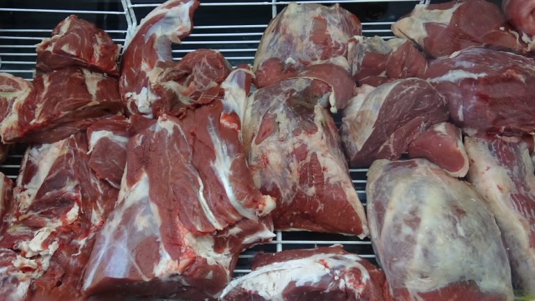 IMG 20250508 WA0070 768x432