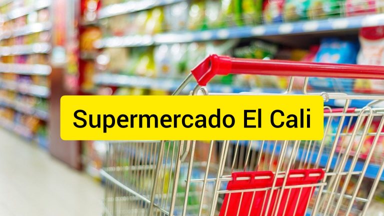 InShot 20250524 175542161 1 768x432