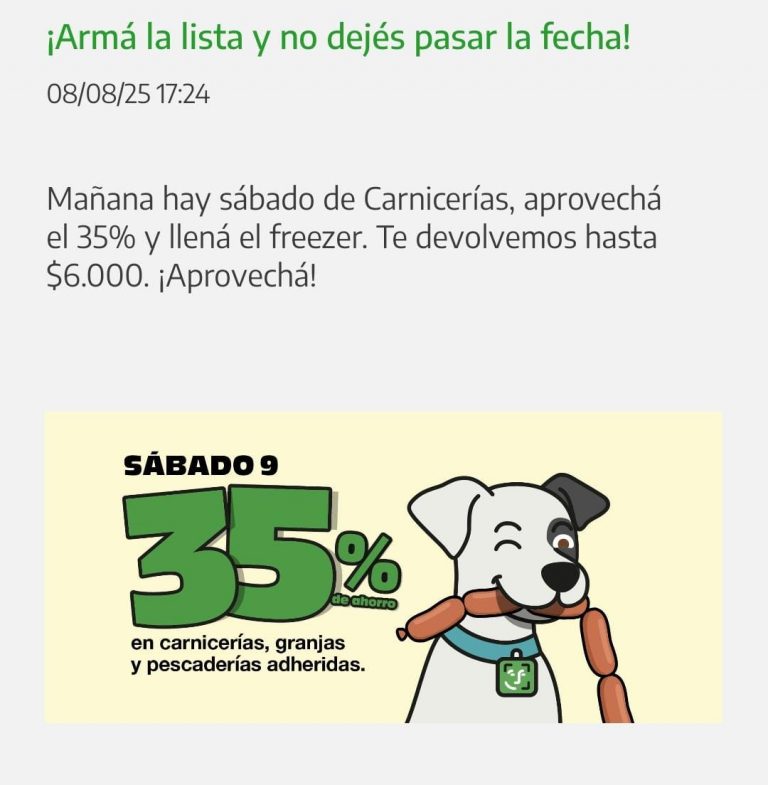 IMG 20250808 WA0038 768x785