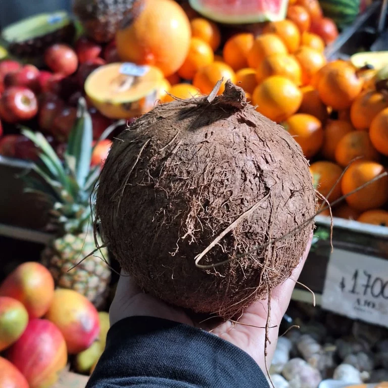 539279009 17865669885445089 8274399479611731114 n 768x768