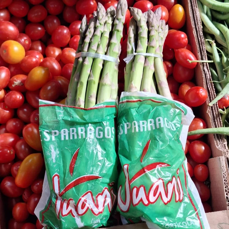 539392045 17865669912445089 4804828488726406758 n 768x768