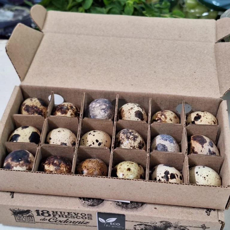 539408061 17865669939445089 4029785343986191911 n 768x768