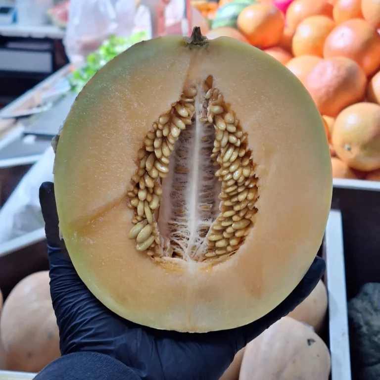 539577778 17865669894445089 8675636252088182460 n 768x768