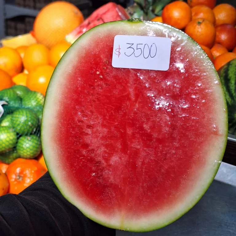 539712458 17865669903445089 8214887433954015909 n 768x768