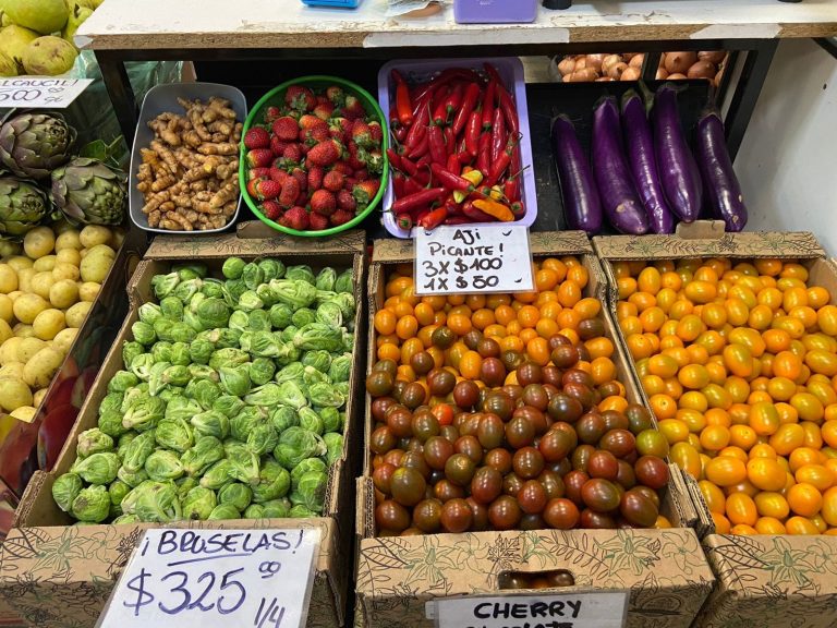 IMG 20250918 WA0019 768x576