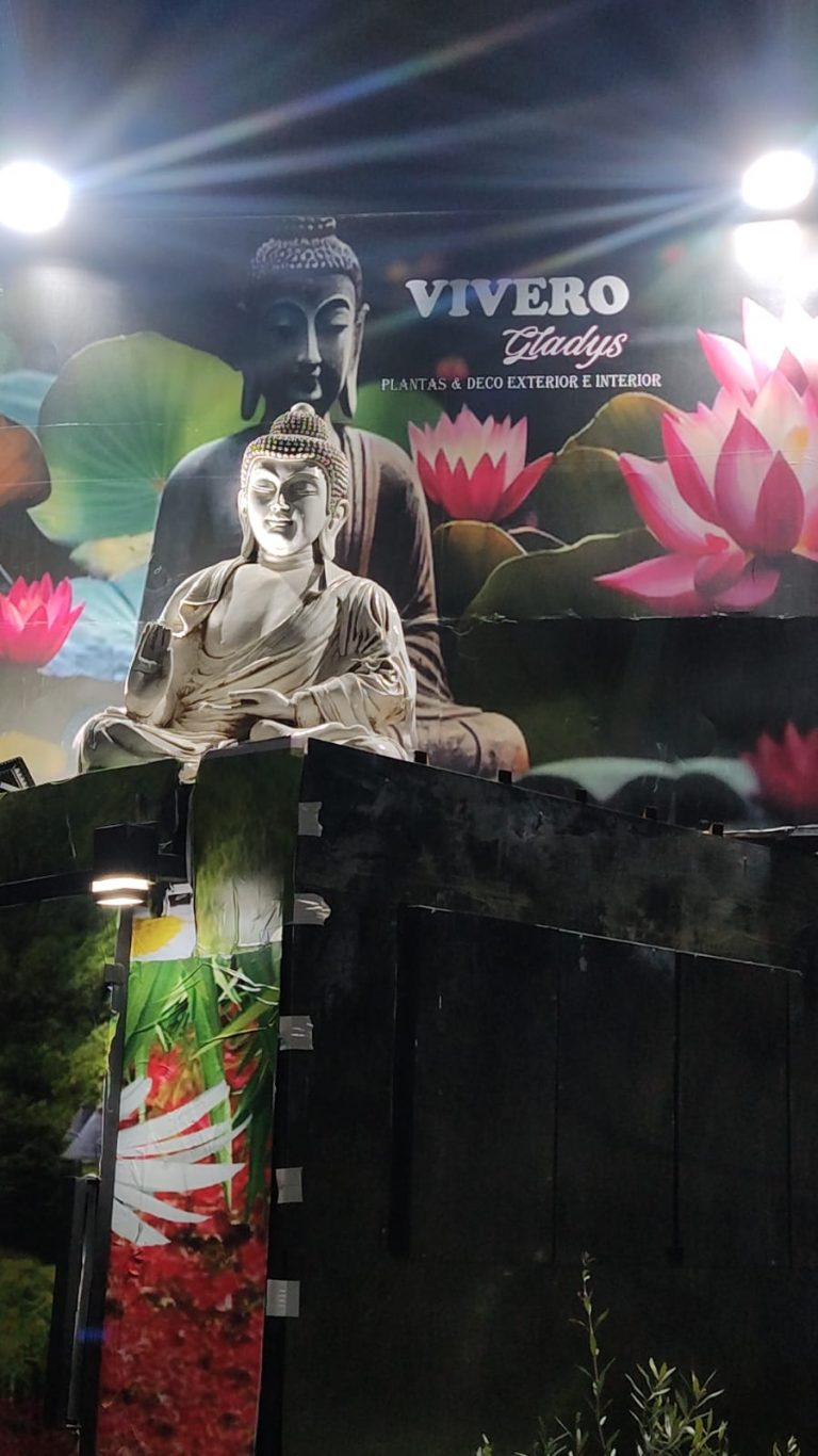 IMG 20250915 WA00181 768x1366