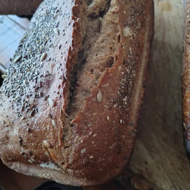 588039629 17845033704629634 4737595753946584997 n