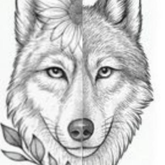 591152073 17842592088629634 7474182805423565674 n